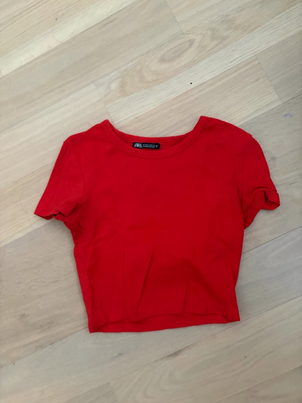 Zara Crop Top Short Sleeve T-Shirt Blogger Fave